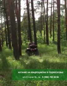 Маршрут катания на квадроциклах по лесу - Подмосковье