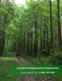 Маршрут катания на квадроциклах по лесу - Подмосковье